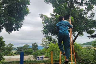 Công tác phòng chống bão số 13 của Trường Mầm Non Hành Phước